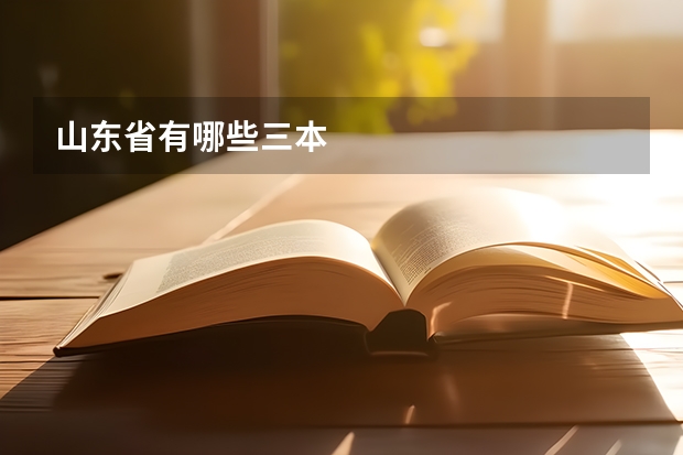 山东省有哪些三本