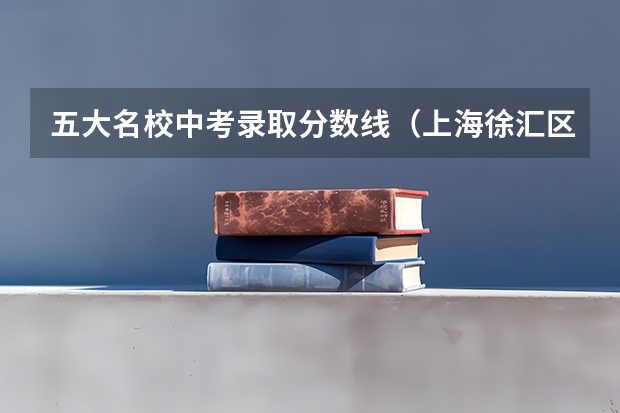 五大名校中考录取分数线(上海徐汇区各高中实际录取分数线)