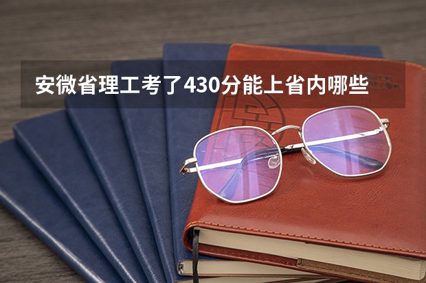 安微省理工考了430分能上省内哪些二本院校