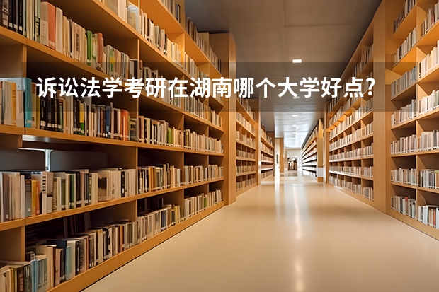 诉讼法学考研在湖南哪个大学好点?