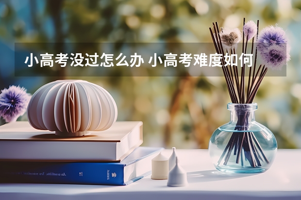 小高考没过怎么办 小高考难度如何