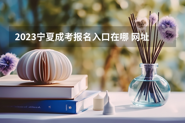 2023宁夏成考报名入口在哪 网址是什么？