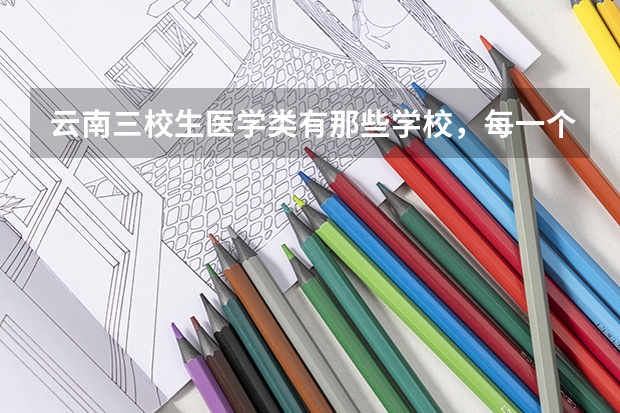 云南三校生医学类有那些学校，每一个学校分数线多少？