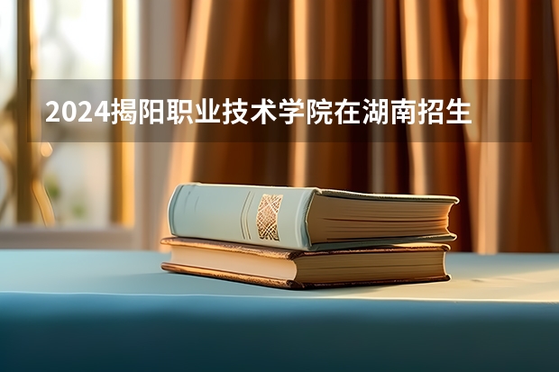 2024揭阳职业技术学院在湖南招生计划 招多少人