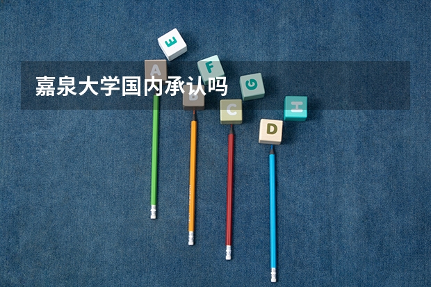 嘉泉大学国内承认吗