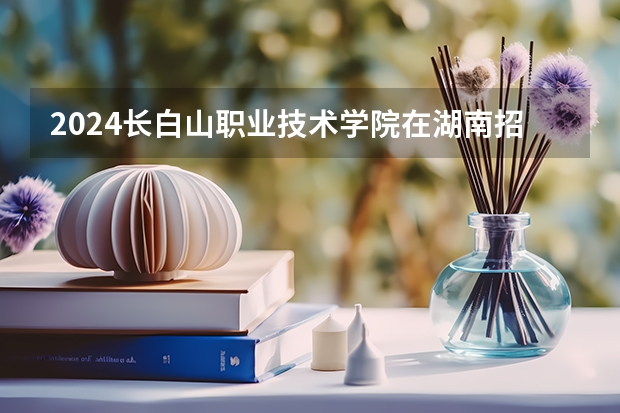 2024长白山职业技术学院在湖南招生计划 招多少人