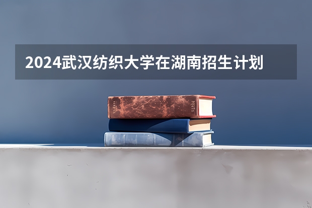 2024武汉纺织大学在湖南招生计划 招多少人