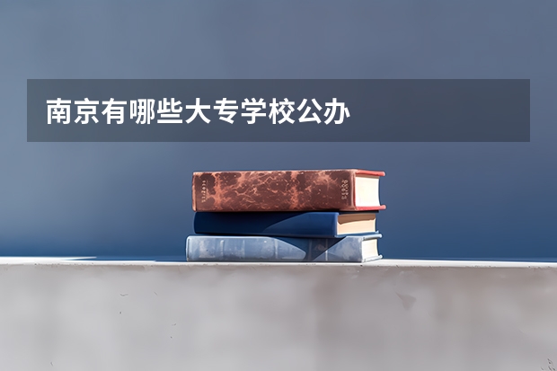 南京有哪些大专学校公办