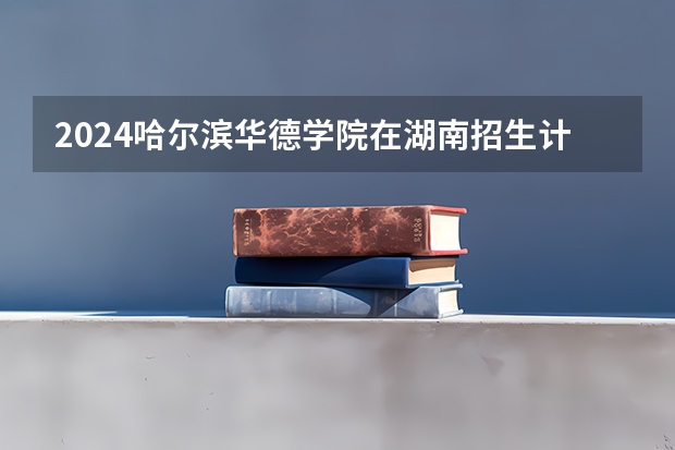 2024哈尔滨华德学院在湖南招生计划 招多少人