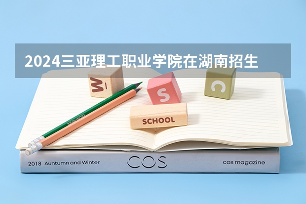 2024三亚理工职业学院在湖南招生计划 招多少人