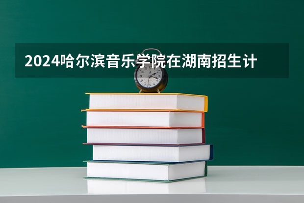 2024哈尔滨音乐学院在湖南招生计划 招多少人