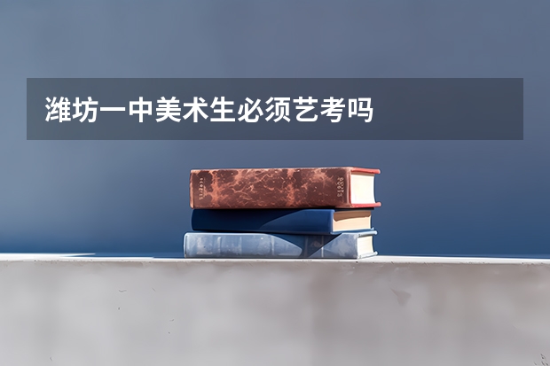 潍坊一中美术生必须艺考吗