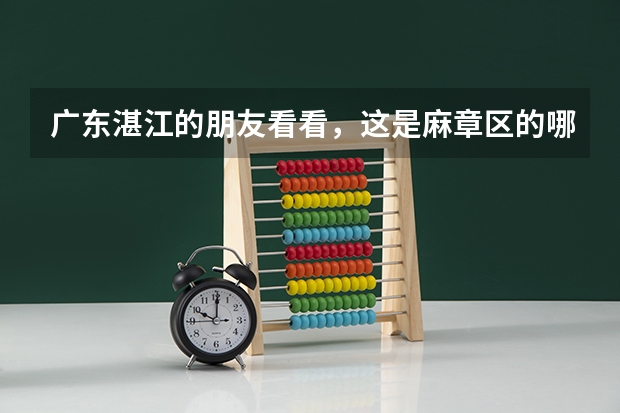广东湛江的朋友看看，这是麻章区的哪个酒吧