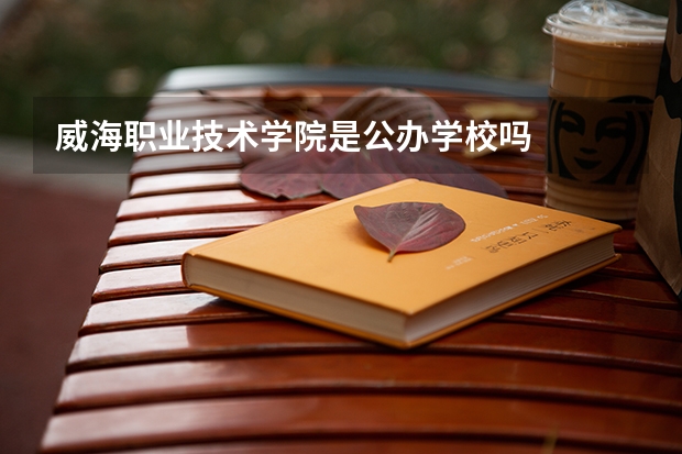 威海职业技术学院是公办学校吗