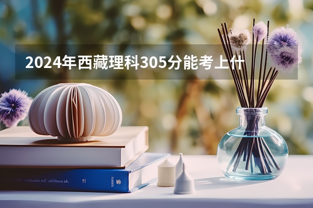 2024年西藏理科305分能考上什么大学？