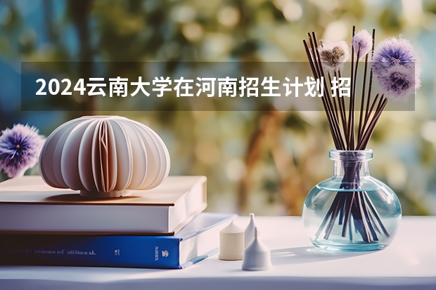 2024云南大学在河南招生计划 招多少人