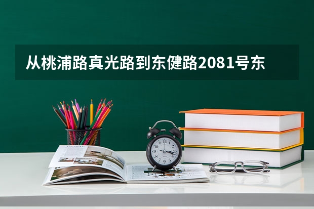 从桃浦路真光路到东健路2081号东辉职业技术学校如何走