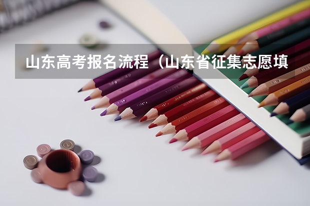 山东高考报名流程（山东省征集志愿填报入口）