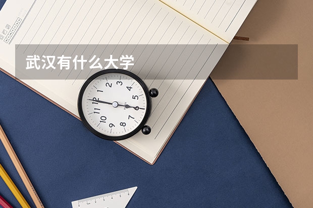 武汉有什么大学