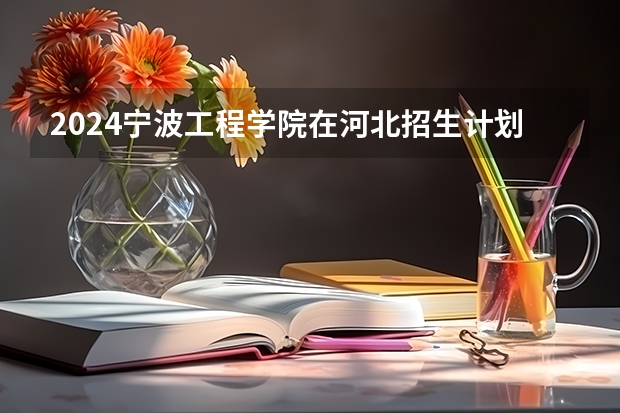 2024宁波工程学院在河北招生计划 招多少人