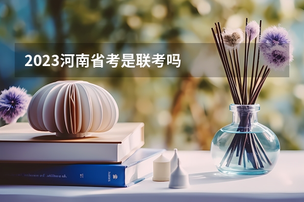 2023河南省考是联考吗