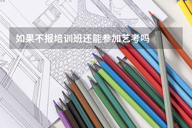 如果不报培训班还能参加艺考吗