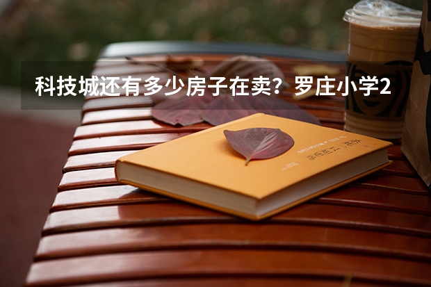 科技城还有多少房子在卖？罗庄小学2025年底竣工，中学明年启动！