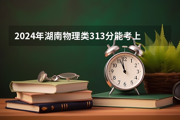 2024年湖南物理类313分能考上什么大学?