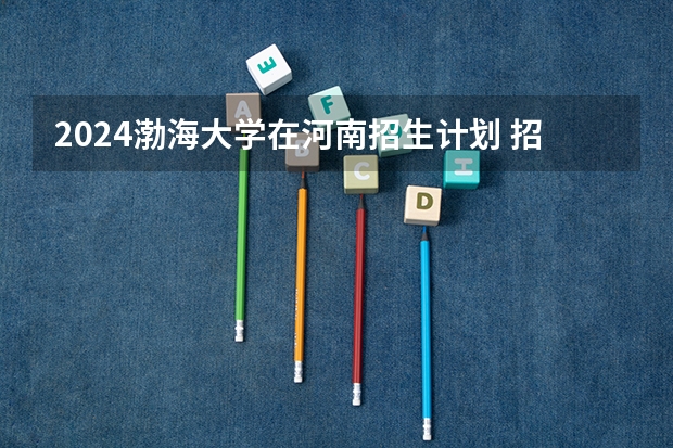 2024渤海大学在河南招生计划 招多少人