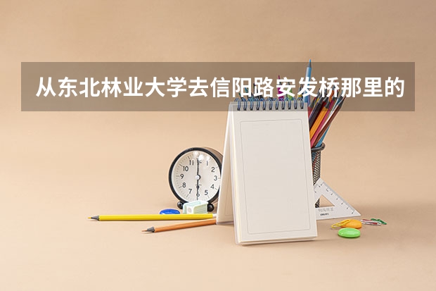 从东北林业大学去信阳路安发桥那里的民航售票处怎么做公交？谢谢