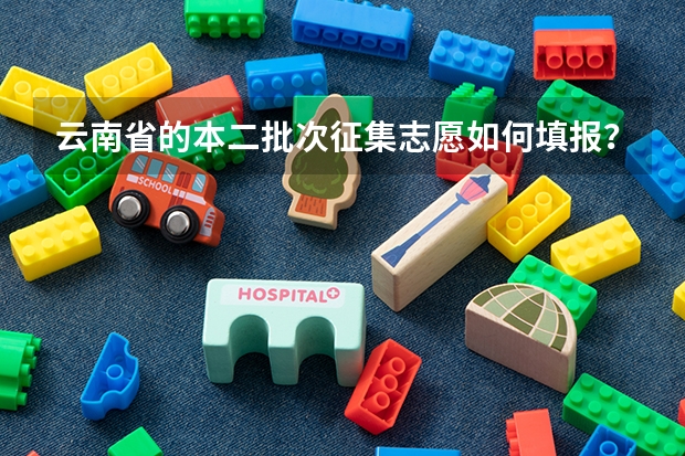 云南省的本二批次征集志愿如何填报？