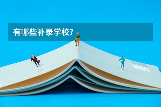 有哪些补录学校？