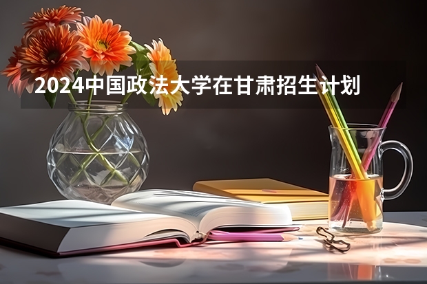 2024中国政法大学在甘肃招生计划 招多少人