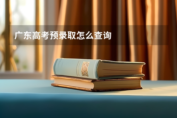 广东高考预录取怎么查询