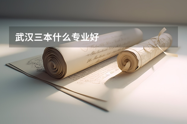 武汉三本什么专业好