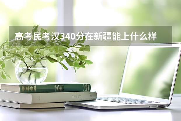 高考民考汉340分在新疆能上什么样的大学？那些专业比较有前景？？？