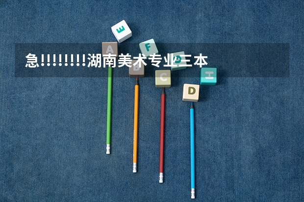 急!!!!!!!!湖南美术专业三本中哪个学校好