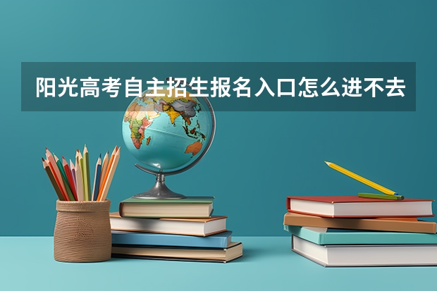 阳光高考自主招生报名入口怎么进不去了