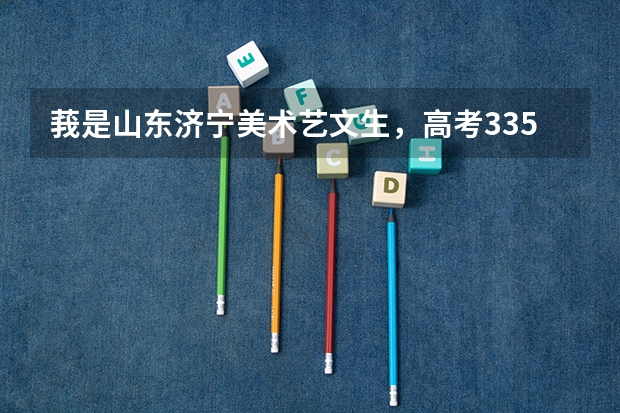 莪是山东济宁美术艺文生，高考335分，美术联考228、33分，莪可以报考什么样的学校？