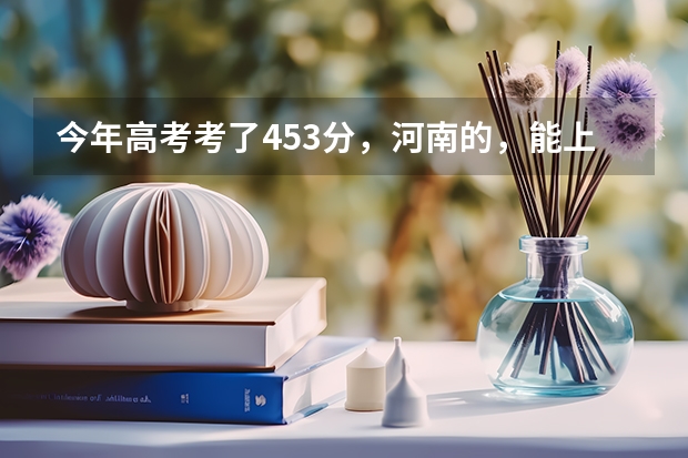 今年高考考了453分，河南的，能上一个什么学校