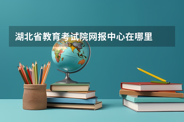 湖北省教育考试院网报中心在哪里