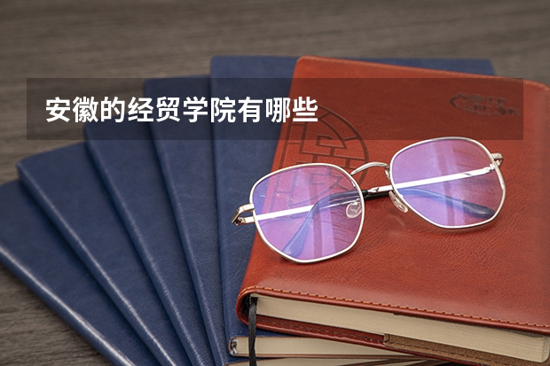 安徽的经贸学院有哪些