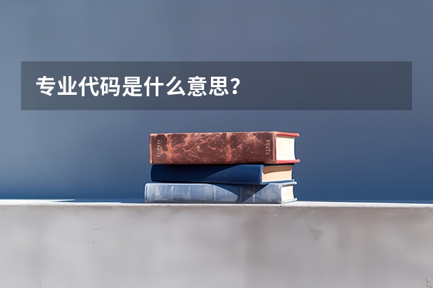 专业代码是什么意思？