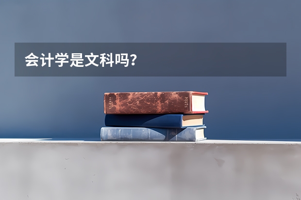 会计学是文科吗？