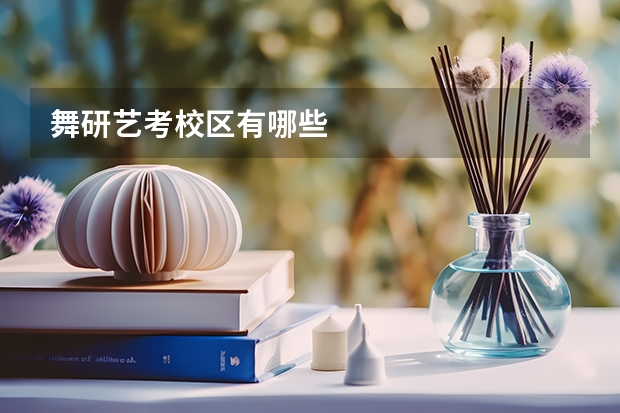 舞研艺考校区有哪些