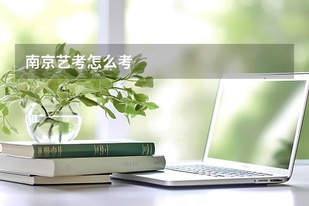 南京艺考怎么考