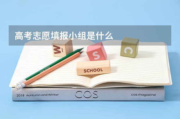 高考志愿填报小组是什么
