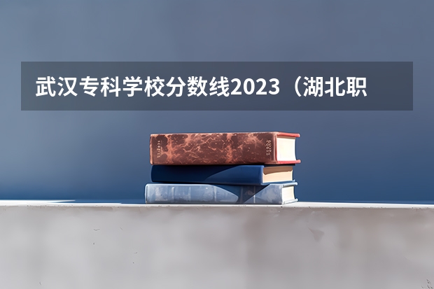 武汉专科学校分数线2023（湖北职业技术学院单招分数线）