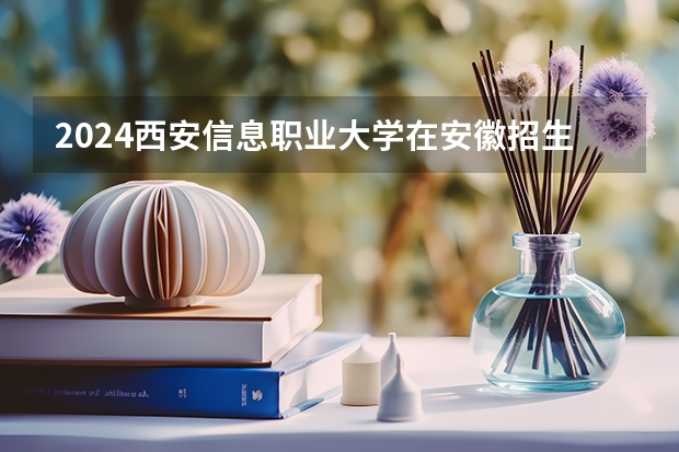 2024西安信息职业大学在安徽招生计划 招多少人