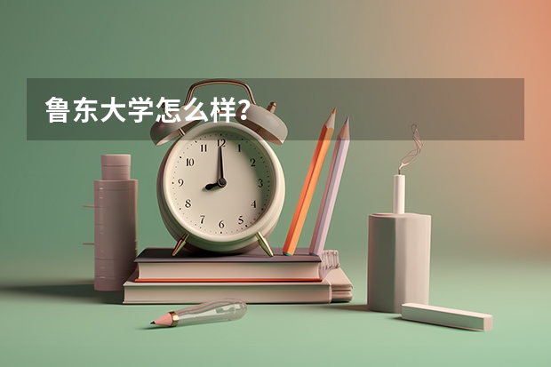 鲁东大学怎么样？